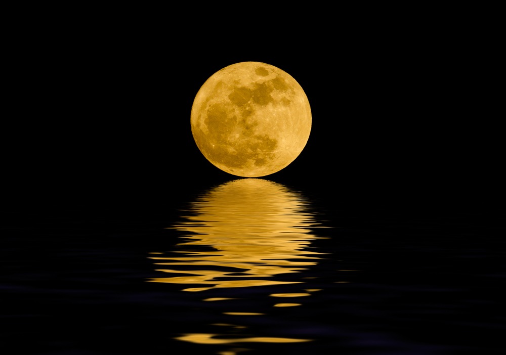 swim under the moon open water swimming cheshunt