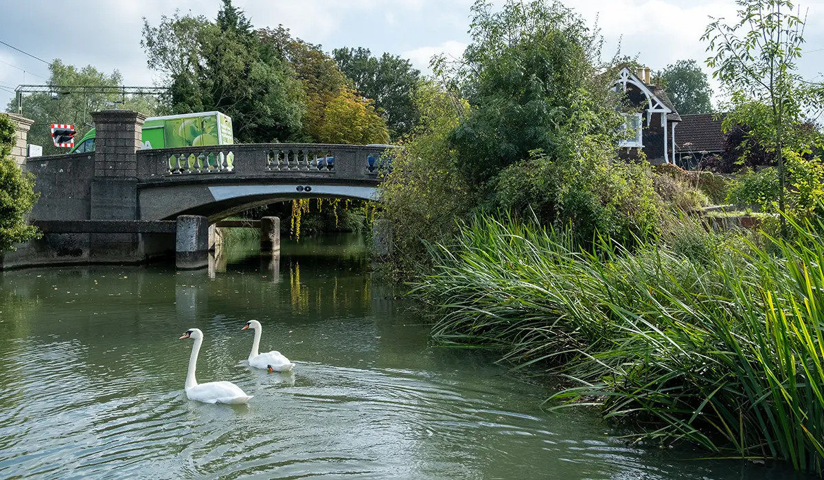 SUP Touring River Stort