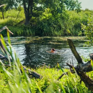 Wild Swimming in Hertfordshire