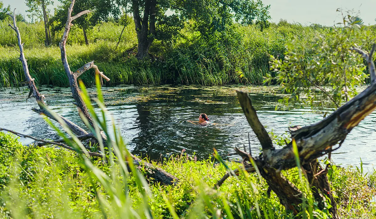 Wild Swimming in Hertfordshire